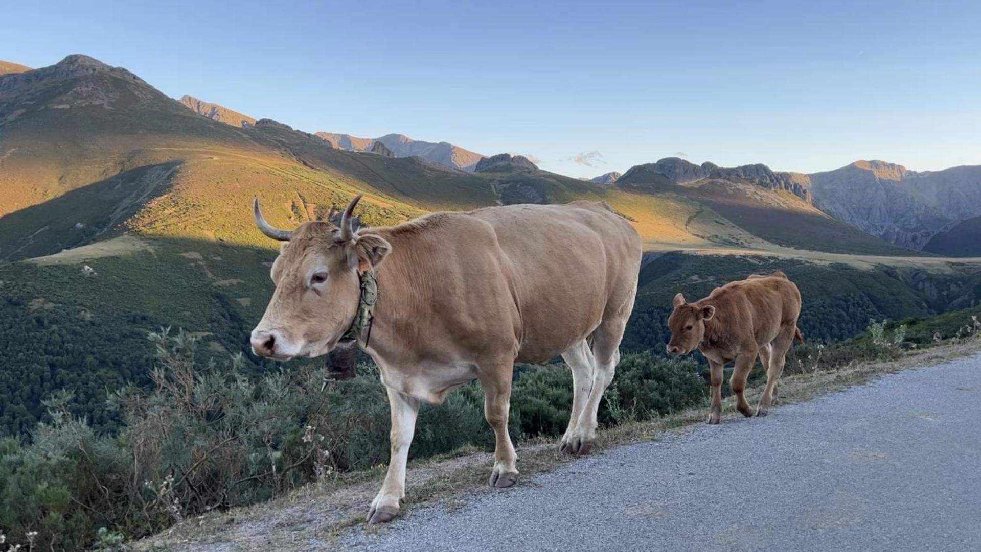 Posada La Trebede Perrozo エクステリア 写真