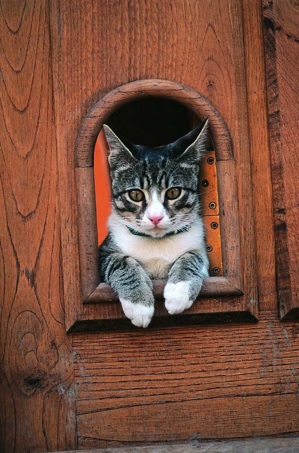 Posada La Trebede Perrozo エクステリア 写真